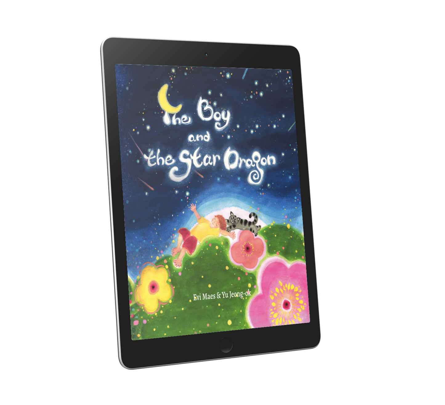 The Boy and the Star Dragon - E-book