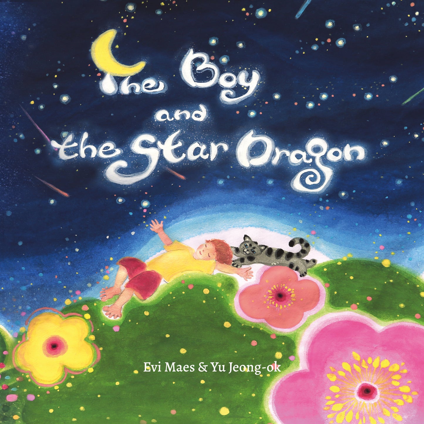 The Boy and the Star Dragon - Softcover book
