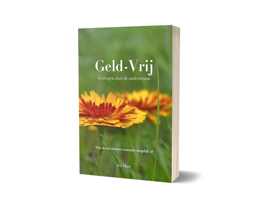 Boek: Geld-Vrij door Evi Maes