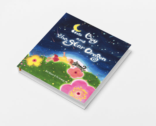 The Boy and the Star Dragon - Hardcover book